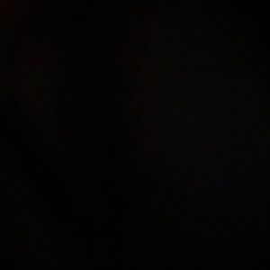 Meet your Posher, Lyla